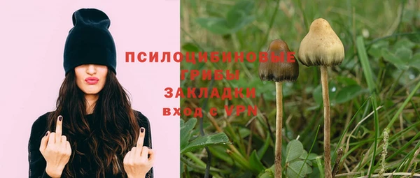 2c-b Мегион