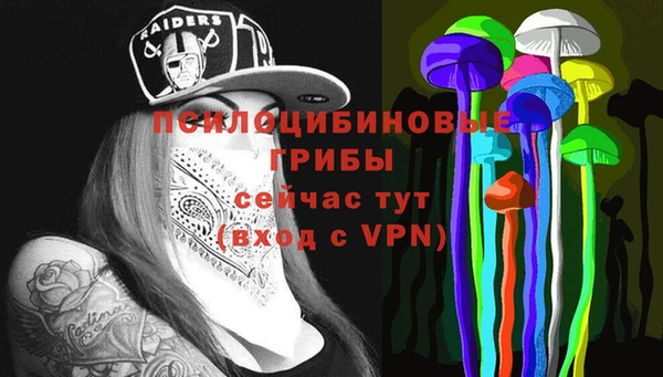 синтетический гашиш Медвежьегорск