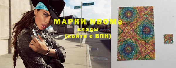 прущие грибы Сясьстрой