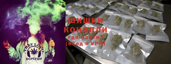 2c-b Мегион