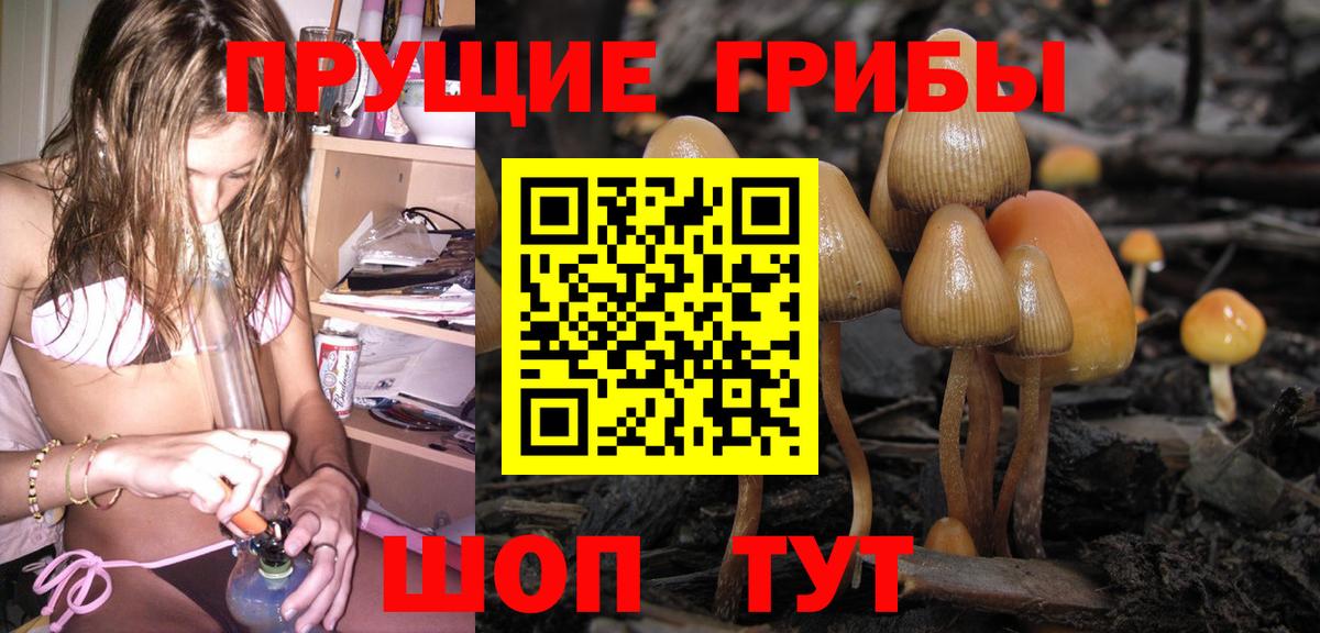 Иваново  Галлюциногенные грибы GOLDEN TEACHER  Псилоцибиновые грибы мухоморы  наркотики  Вход с VPN 
