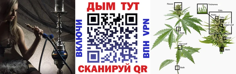 Каннабис OG Kush  Иваново 